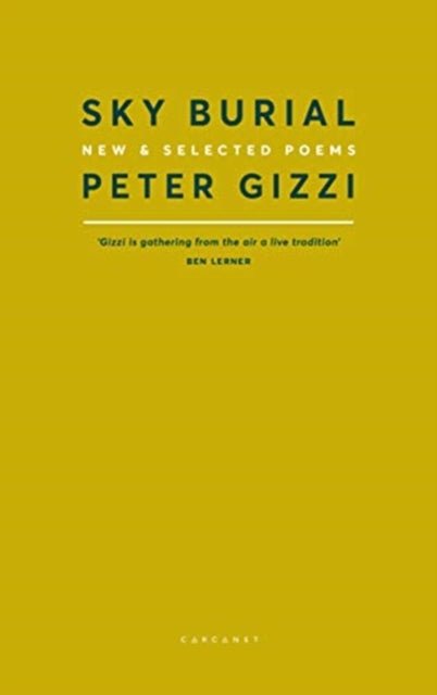 Book cover of: Sky Burial. By: Peter Gizzi