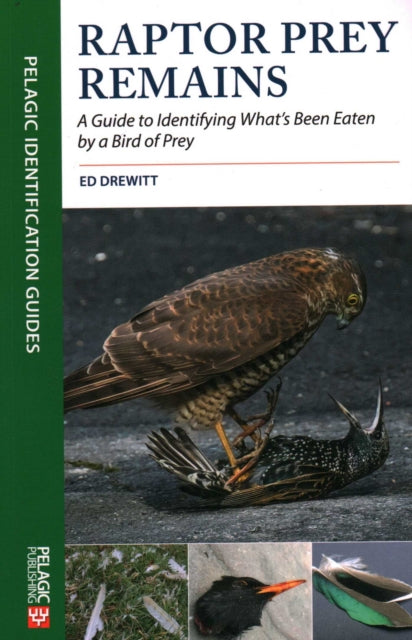Book cover of: Raptor Prey Remains. By: Ed Drewitt