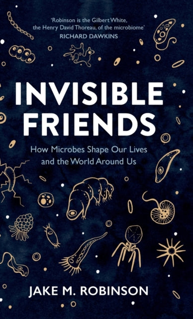 Book cover of: Invisible Friends. By: Jake M. Robinson