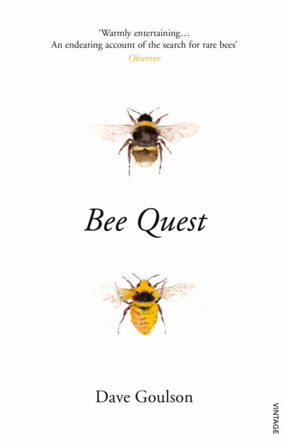 Book cover of: Bee Quest. By: Dave Goulson