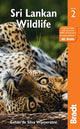 Sri Lankan Wildlife