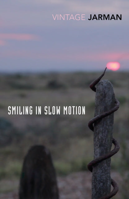 Smiling in Slow Motion, Journals, 1991–1994 9781784875169 Derek Jarman