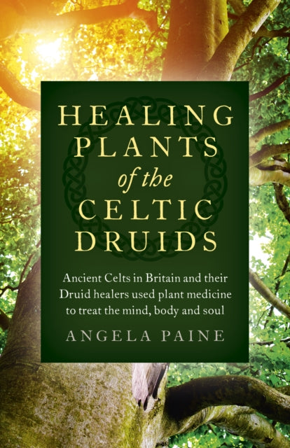 Book cover of: Healing Plants of the Celtic Druids. By: Angela Paine