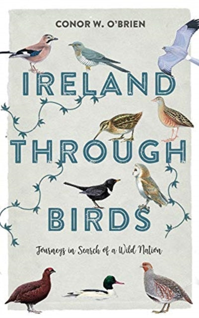 Book cover of: Ireland Through Birds. By: Conor O'Brien