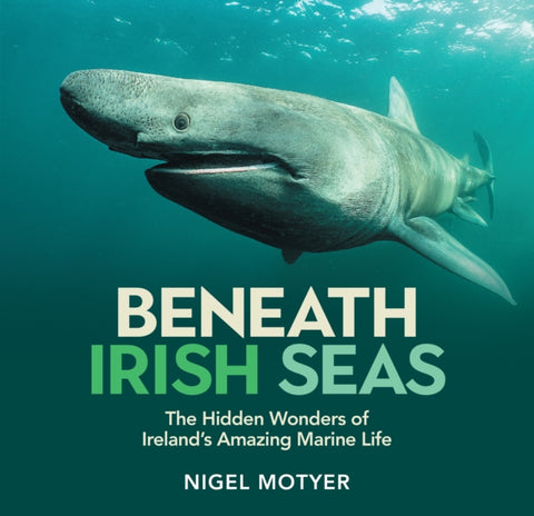 Beneath Irish Seas
