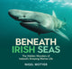 Book cover of: Beneath Irish Seas