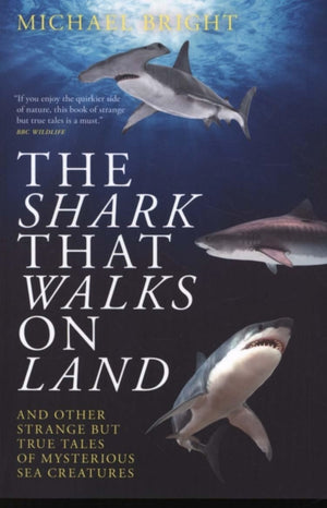 The Shark That Walks on Land