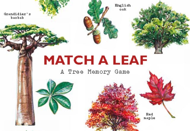Match a Leaf, A Tree Memory Game 9781786272270 Tony Kirkham