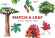 Match a Leaf, A Tree Memory Game 9781786272270 Tony Kirkham