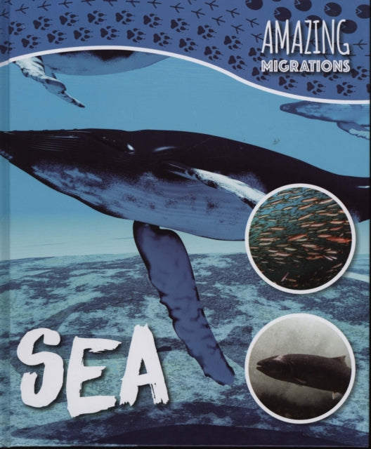 Book cover of: Sea. By: Harriet Brundle