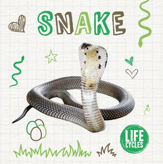 Book cover of: Snake. By: Holly Duhig