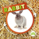 Book cover of: Rabbit. By: Kirsty Holmes
