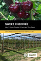 Book cover of: Sweet Cherries. By: Lynn Long