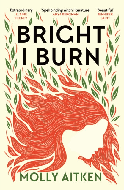 Bright I Burn 9781786898371 Molly Aitken