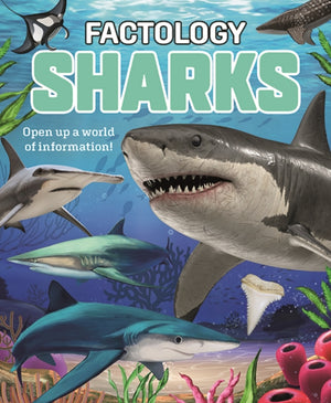 Factology: Sharks, Open Up a World of Information!