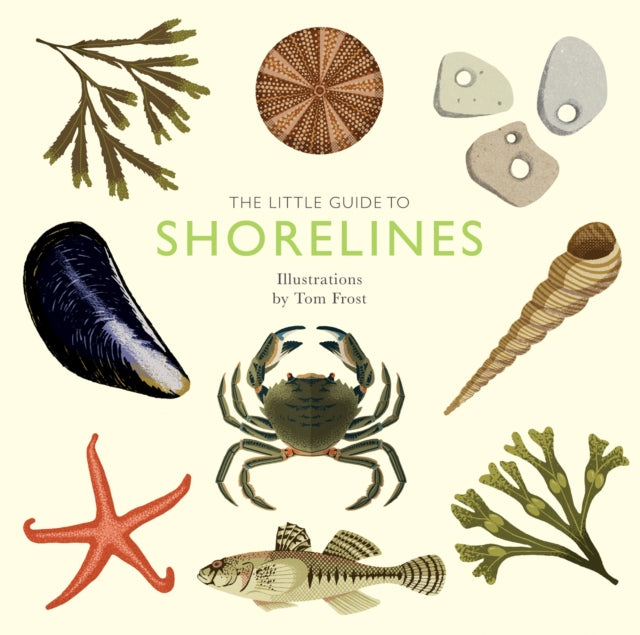 Book cover of: Little Guide to Shorelines. By: Alison Davies