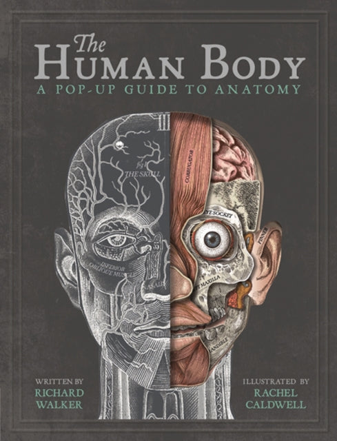 Book cover of: The Human Body