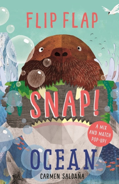 Book cover of: Flip Flap Snap: Ocean. By: Carmen Saldaña