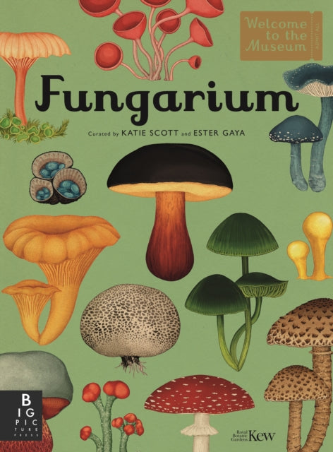 Fungarium 9781787415355 Royal Botanic Gardens Kew