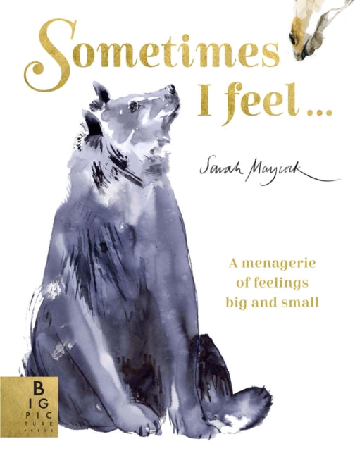Book cover of: Sometimes I Feel.... By: Sarah Maycock
