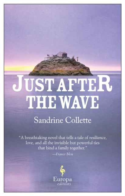 Book cover of: Just After the Wave