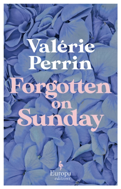 Book cover of: Forgotten on Sunday. By: Valérie Perrin