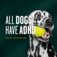 All Dogs Have ADHD, An affirming introduction to ADHD 9781787756601 Kathy Hoopmann