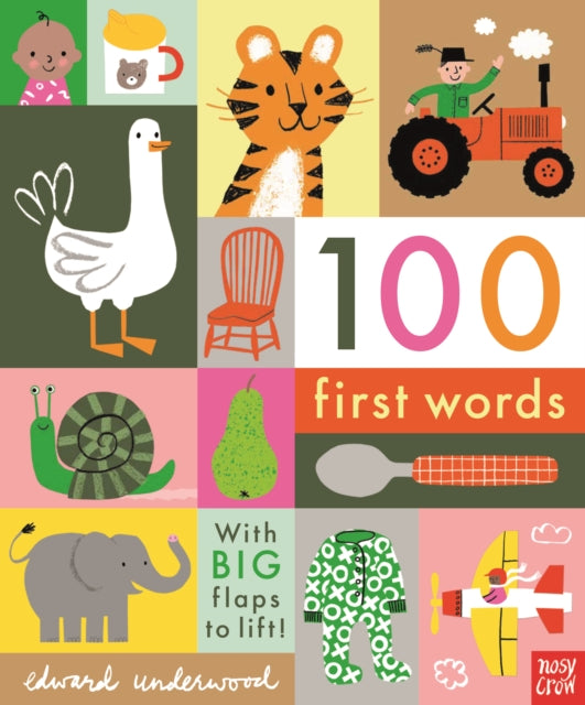 100 First Words 9781788004893 Edward Underwood