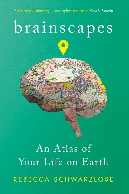Book cover of: Brainscapes. By: Rebecca Schwarzlose