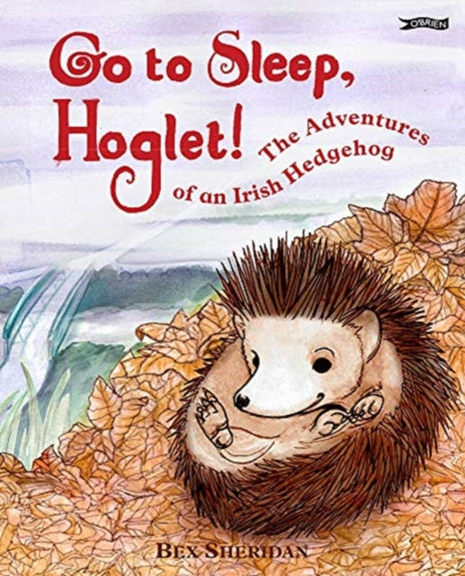 Book cover of: Go To Sleep, Hoglet. By: Bex Sheridan