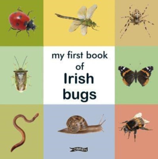 Book cover of: My First Book of Irish Bugs