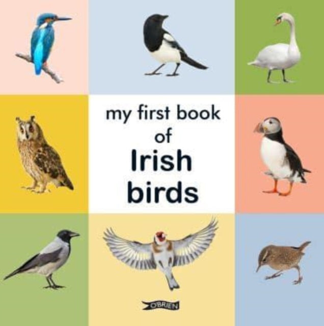 Book cover of: My First Book of Irish Birds. By: The O'Brien Press