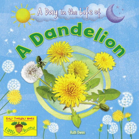 A Dandelion