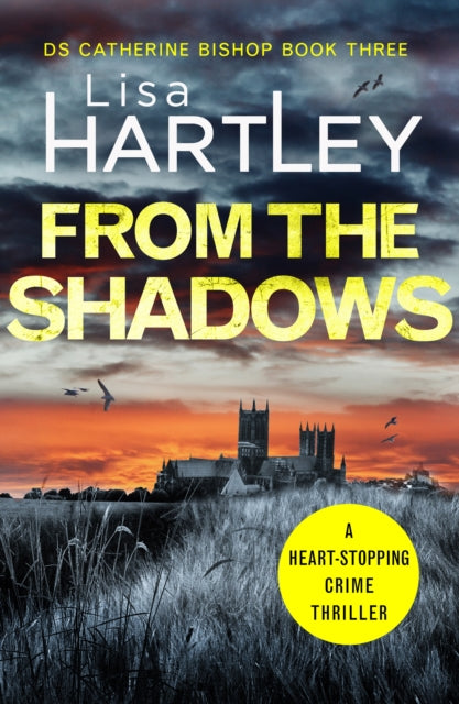 Book cover of: From the Shadows. By: Lisa Hartley