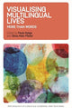 Book cover of: Visualising Multilingual Lives. By: Paula Kalaja