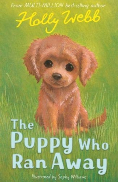 Book cover of: The Puppy Who Ran Away. By: Holly Webb