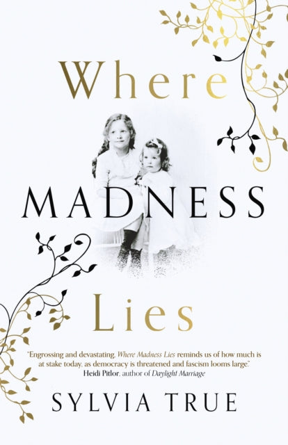 Book cover of: Where Madness Lies. By: Sylvia True