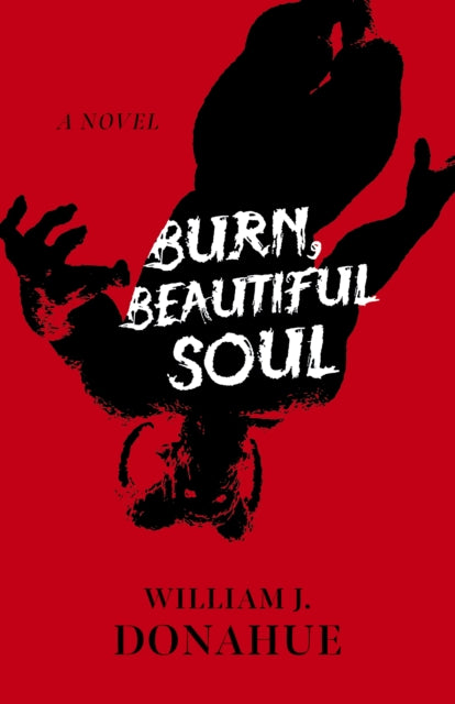 Book cover of: Burn, Beautiful Soul