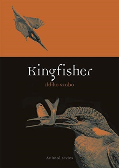 Book cover of: Kingfisher. By: Ildiko Szabo