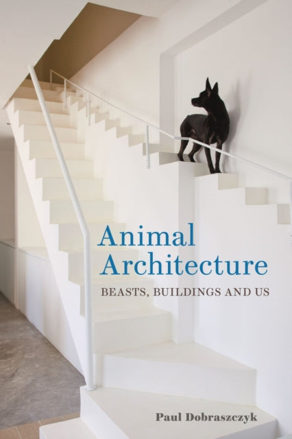 Book cover of: Animal Architecture. By: Paul Dobraszczyk