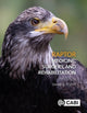 Book cover of: Raptor Medicine, Surgery, and Rehabilitation. By: David Scott