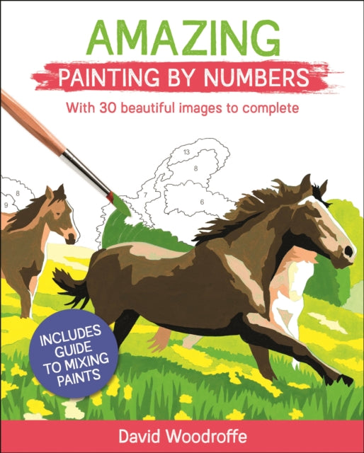Book cover of: Amazing Painting by Numbers