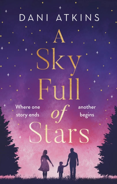 Book cover of: Sky Full of Stars. By: Dani Atkins