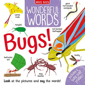 Wonderful Words: Bugs!