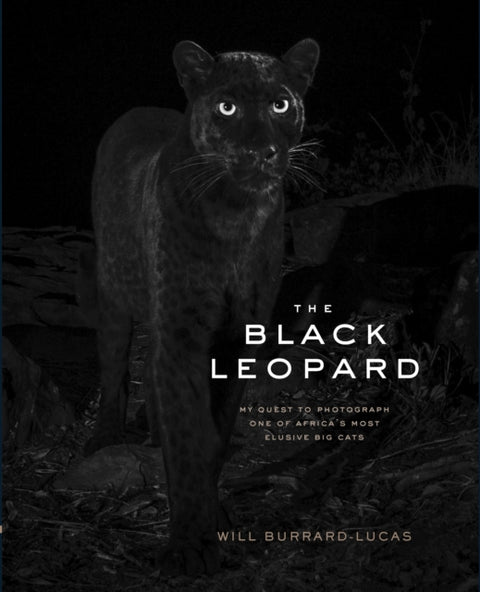 The Black Leopard
