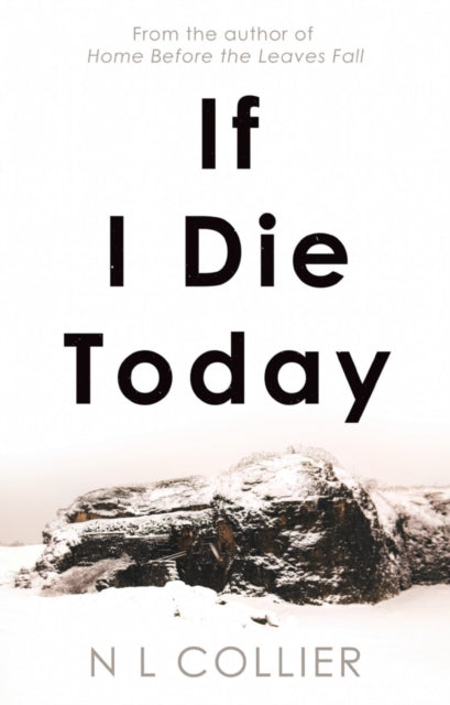 Book cover of: If I Die Today. By: N. L. Collier
