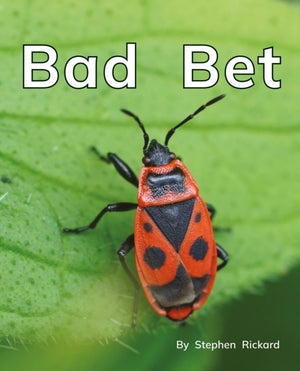 Bad Bet