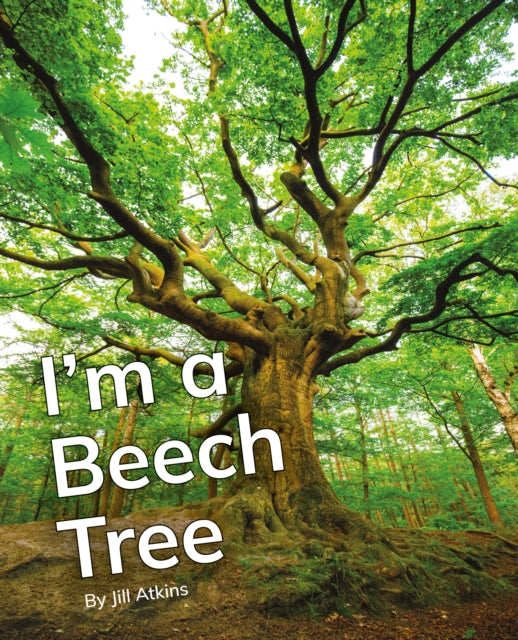 Book cover of: I'm a Beech Tree