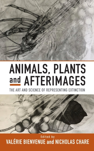 Book cover of: Animals, Plants and Afterimages. By: Valérie Bienvenue