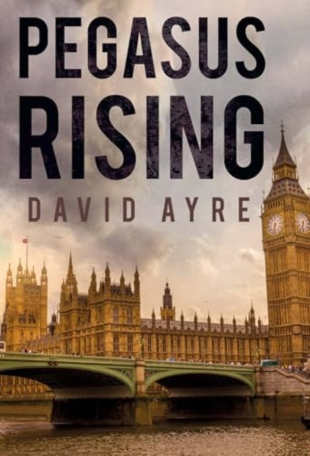 Book cover of: Pegasus Rising